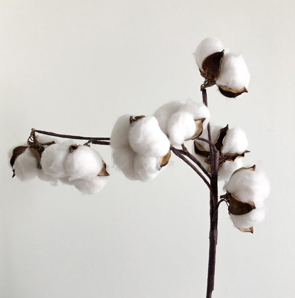Why Wear Organic Cotton Yoga Clothing? – Ananda Hum