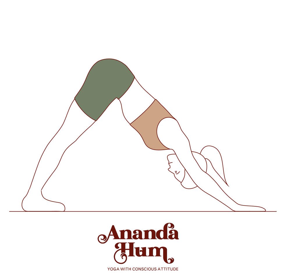 adho mukha svanasana variations