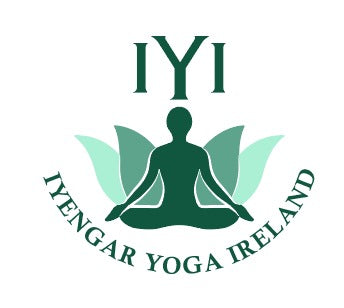 Meet Ananda Hum at the Iyengar Yoga Event with Dr. Rajlaxmi in Blackrock (Ireland)
