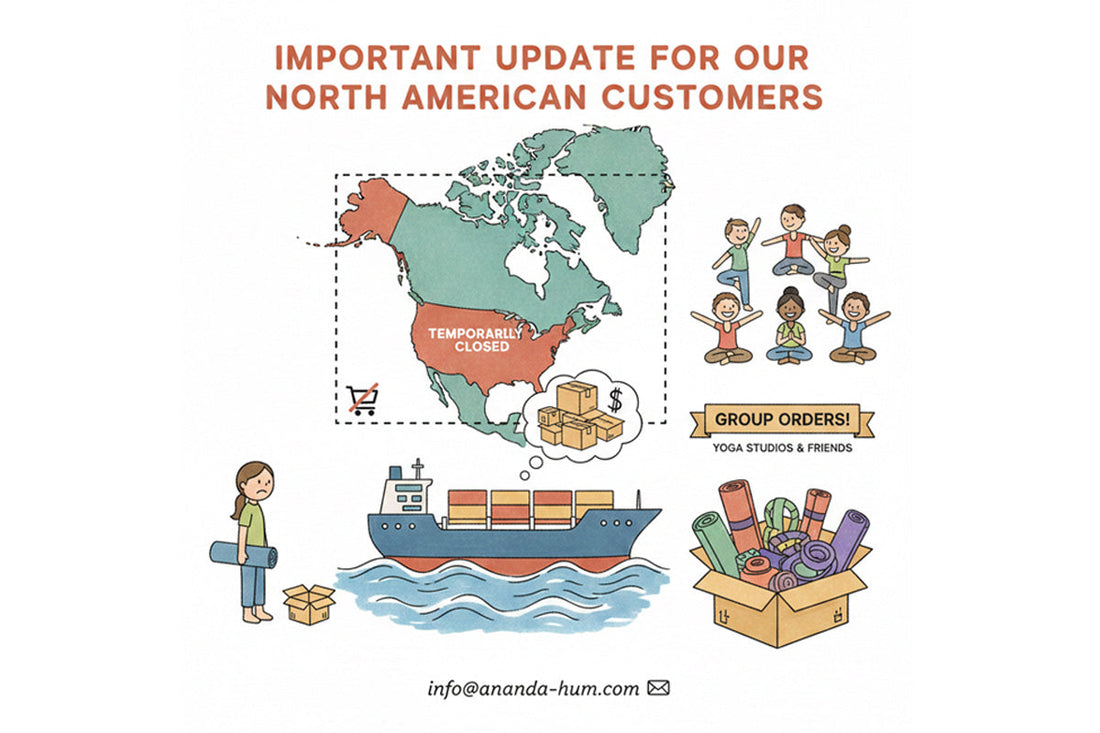 shipping iyengar props usa