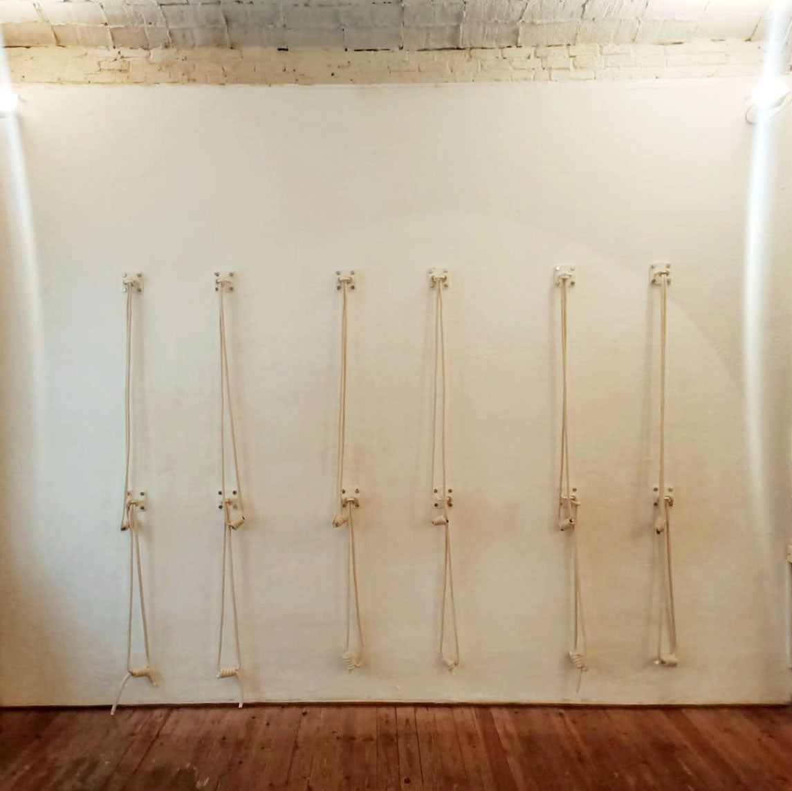 Ensemble complet de cordes murales de yoga – 2 cordes en coton, 2 crochets, kit d'installation