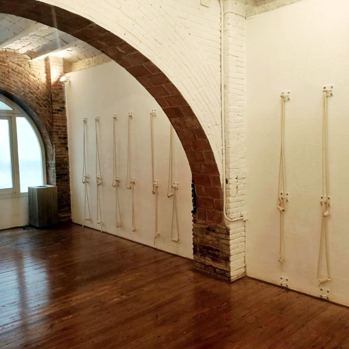 yoga studio with yoga ropes installed on a wall