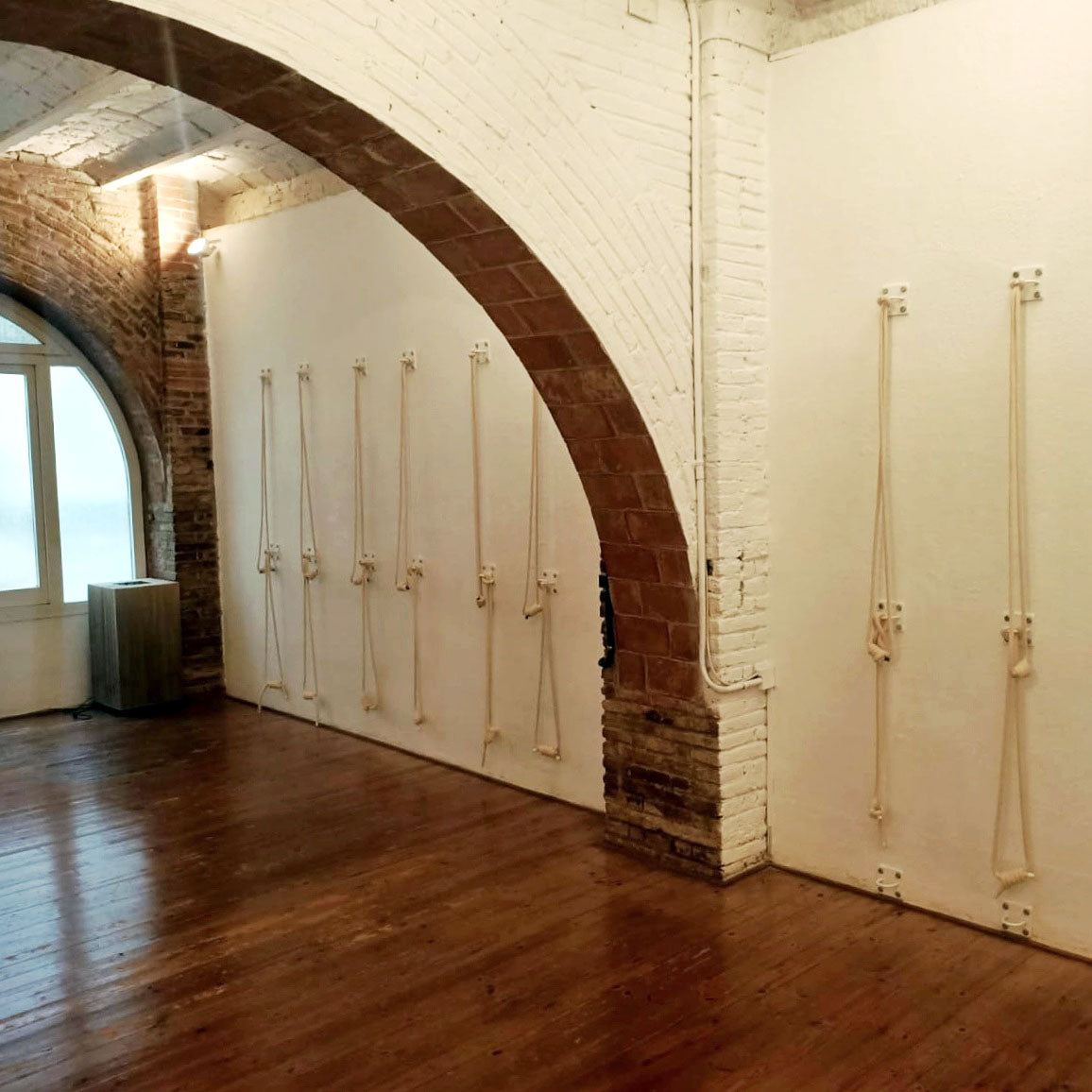 Juego completo de cuerdas de pared para yoga: 2 cuerdas de algodón, 2 ganchos y kit de instalación