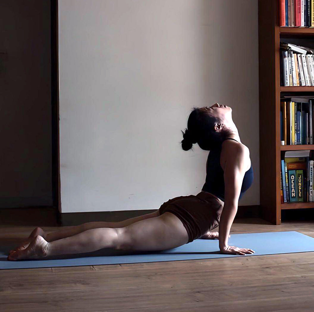 Short de yoga 95% coton Bio et 5% Lycra Blanc - Fin de Serie - Vêtements de  Yoga Femme - Coton Bio Fin de série