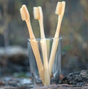 biodegradable bamboo toothbrush