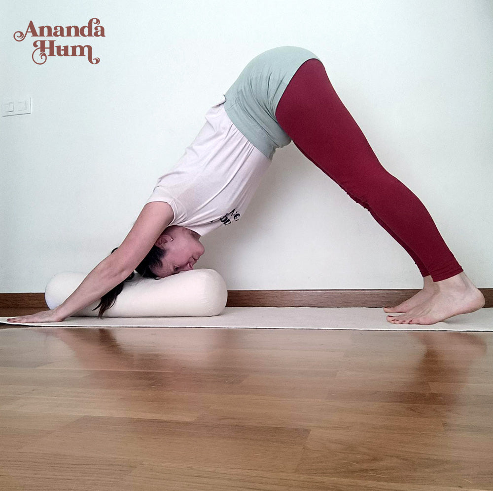 Ananda Yoga Instructional Videos - Padahastasana (Jacknife Pose) — Ananda