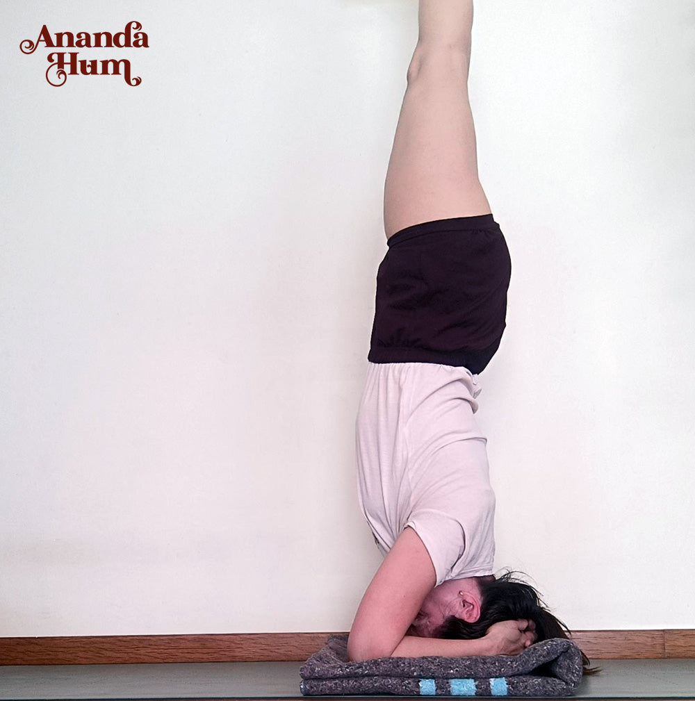 Restorative and Yin Yoga Essentials Kit – Ananda Hum